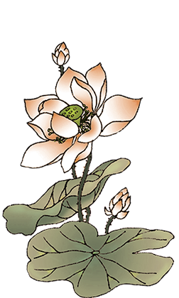 Lotus flower for Shell Shakti Yoga